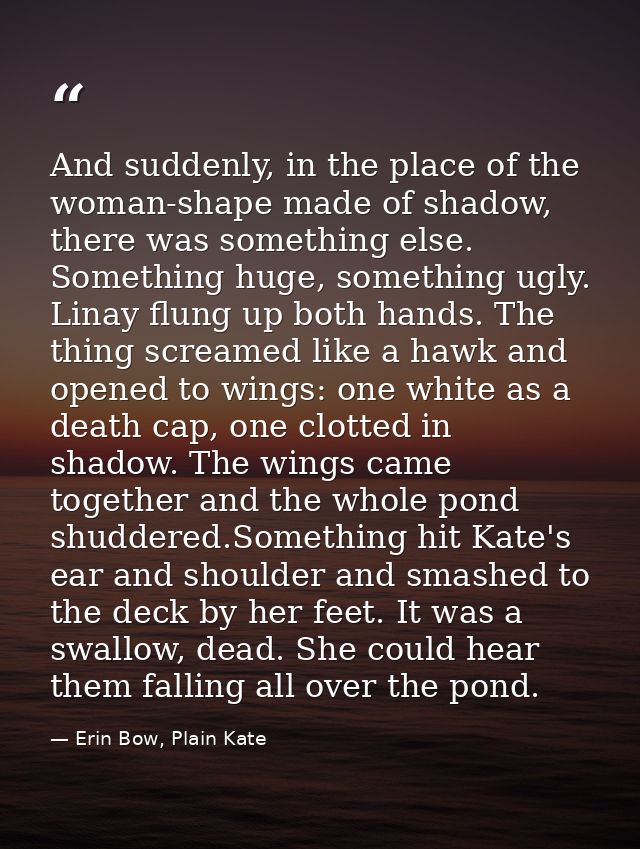 And suddenly, in the place of the woman-shape made of shadow, there was something else. Something huge, something ugly.  — Erin Bow, Plain Kate
