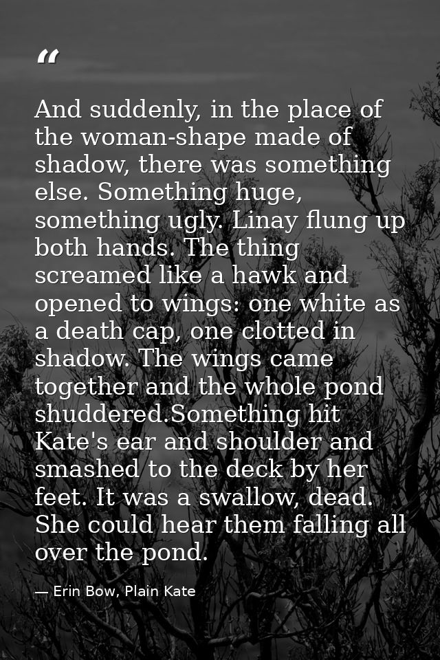And suddenly, in the place of the woman-shape made of shadow, there was something else. Something huge, something ugly.  — Erin Bow, Plain Kate
