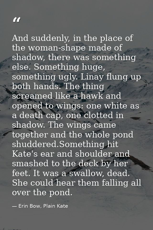 And suddenly, in the place of the woman-shape made of shadow, there was something else. Something huge, something ugly.  — Erin Bow, Plain Kate