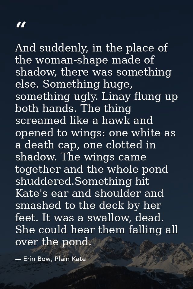 And suddenly, in the place of the woman-shape made of shadow, there was something else. Something huge, something ugly.  — Erin Bow, Plain Kate