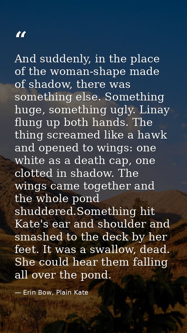 And suddenly, in the place of the woman-shape made of shadow, there was something else. Something huge, something ugly.  — Erin Bow, Plain Kate