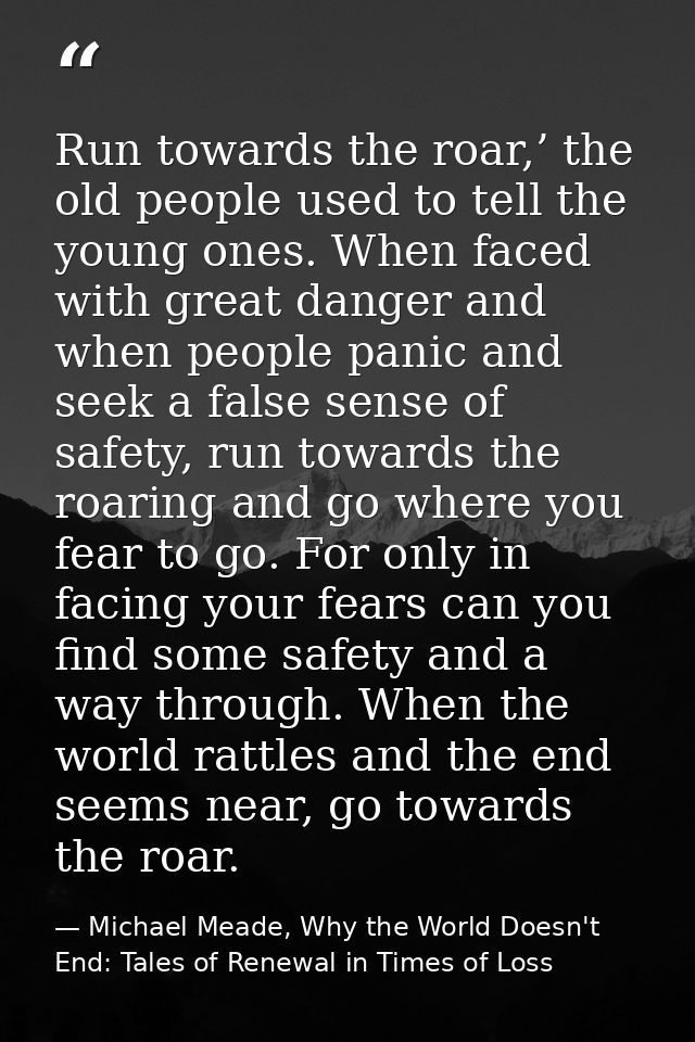 Run towards the roar,’ the old people used to tell the young ones. When faced with great danger and when people panic an — Michael Meade, Why the World Doesn't End: Tales of Renewal in Times of Loss