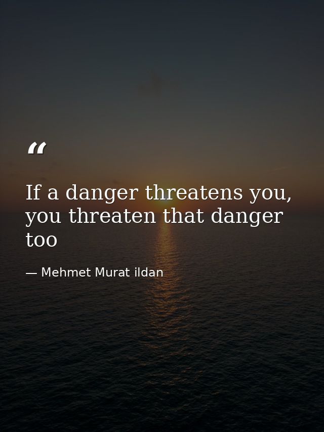 If a danger threatens you, you threaten that danger too — Mehmet Murat ildan