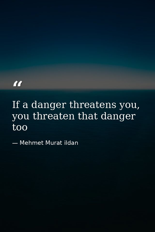 If a danger threatens you, you threaten that danger too — Mehmet Murat ildan