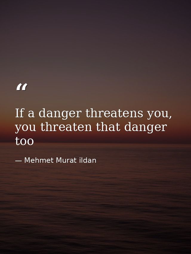 If a danger threatens you, you threaten that danger too — Mehmet Murat ildan