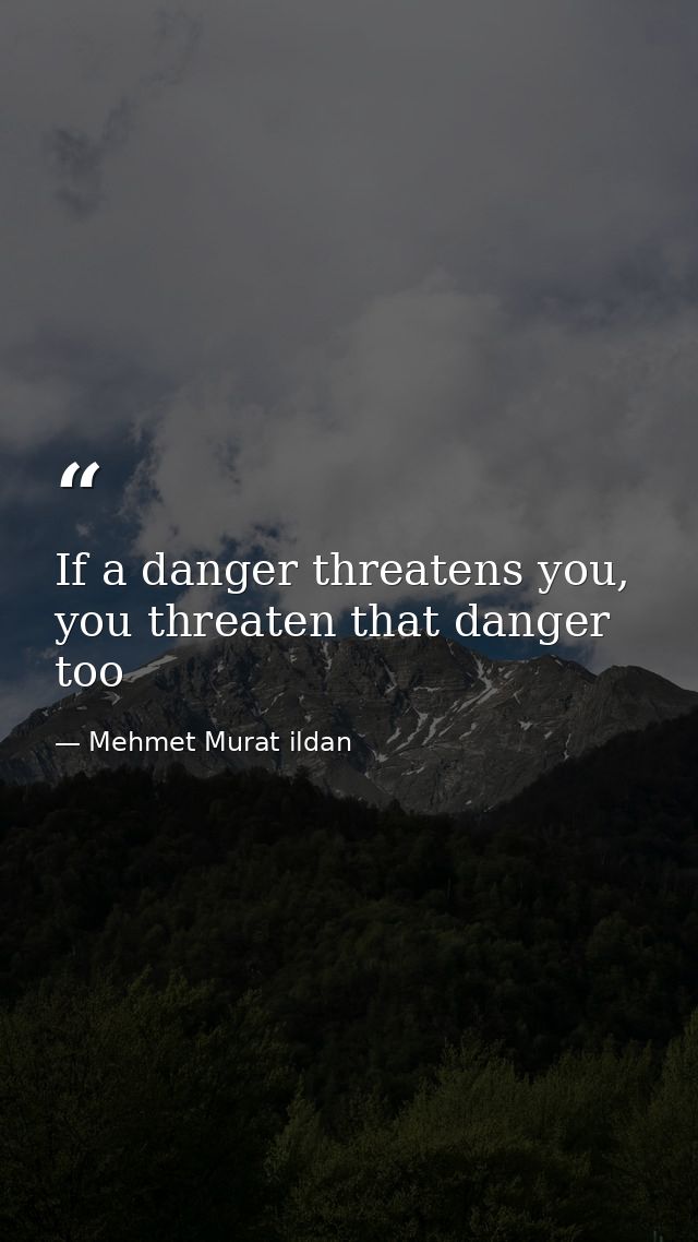 If a danger threatens you, you threaten that danger too — Mehmet Murat ildan