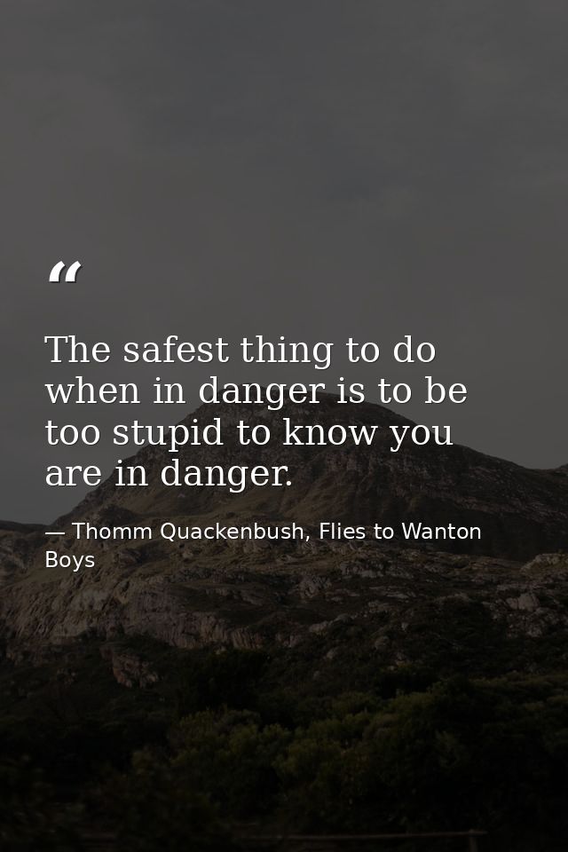 The safest thing to do when in danger is to be too stupid to know you are in danger. — Thomm Quackenbush, Flies to Wanton Boys