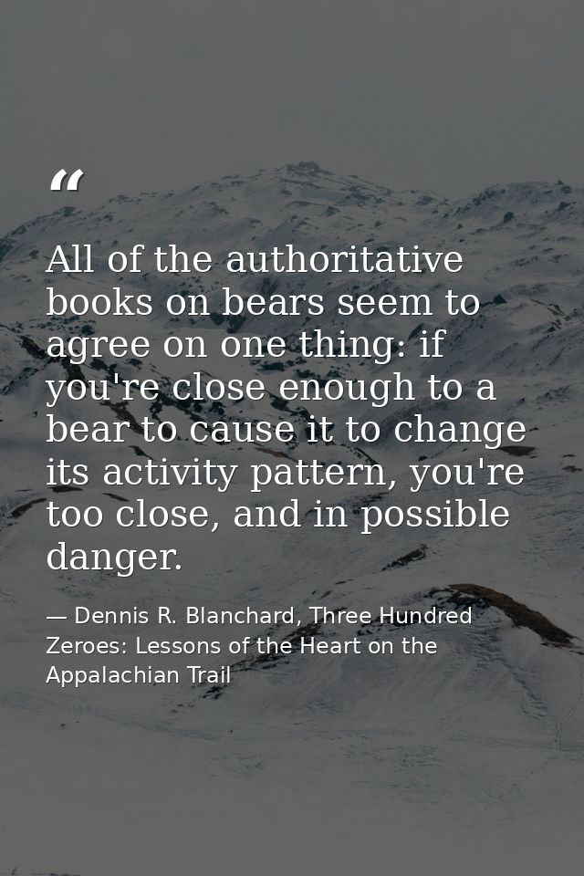 All of the authoritative books on bears seem to agree on one thing: if you're close enough to a bear to cause it to chan — Dennis R. Blanchard, Three Hundred Zeroes: Lessons of the Heart on the Appalachian Trail