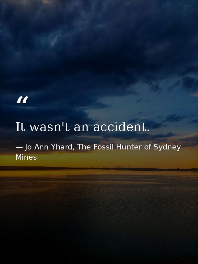 It wasn't an accident. — Jo Ann Yhard, The Fossil Hunter of Sydney Mines
