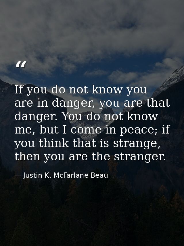 If you do not know you are in danger, you are that danger. You do not know me, but I come in peace; if you think that is — Justin K. McFarlane Beau