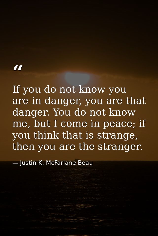 If you do not know you are in danger, you are that danger. You do not know me, but I come in peace; if you think that is — Justin K. McFarlane Beau