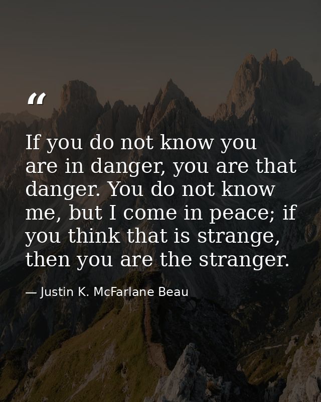 If you do not know you are in danger, you are that danger. You do not know me, but I come in peace; if you think that is — Justin K. McFarlane Beau