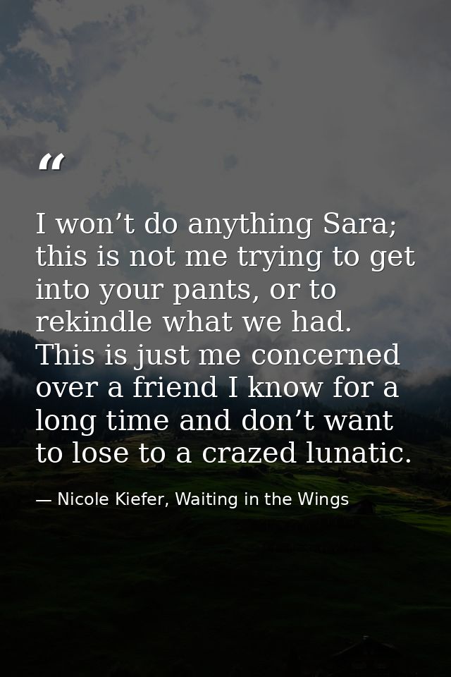 I won’t do anything Sara; this is not me trying to get into your pants, or to rekindle what we had. This is just me conc — Nicole Kiefer, Waiting in the Wings