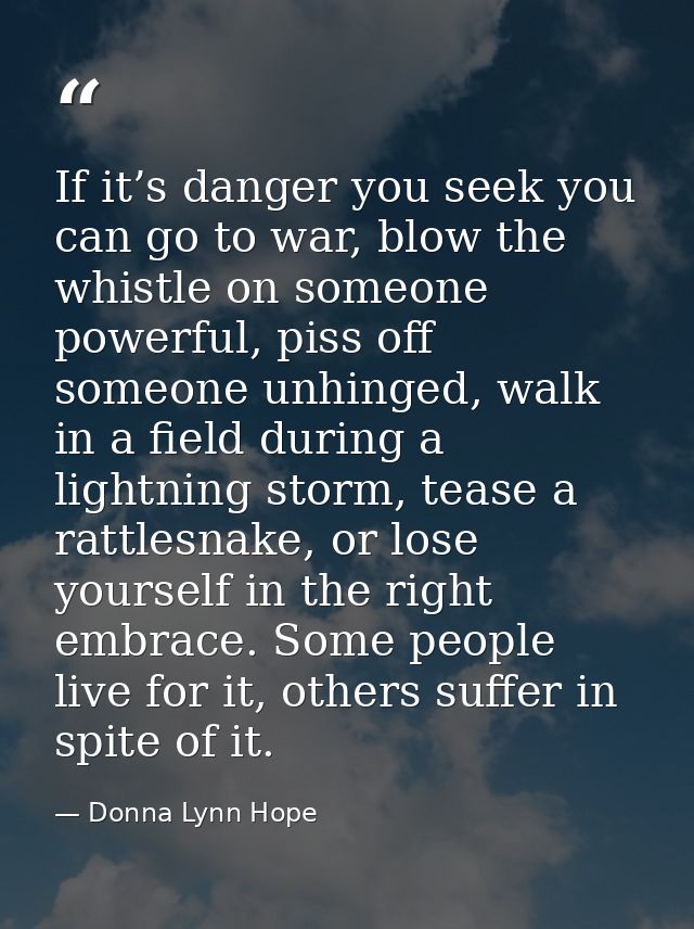 If it’s danger you seek you can go to war, blow the whistle on someone powerful, piss off someone unhinged, walk in a fi — Donna Lynn Hope