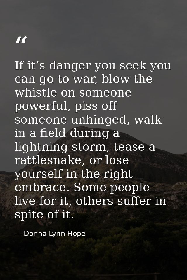 If it’s danger you seek you can go to war, blow the whistle on someone powerful, piss off someone unhinged, walk in a fi — Donna Lynn Hope