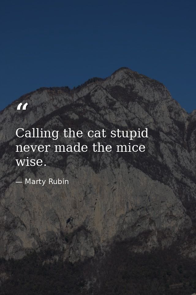 Calling the cat stupid never made the mice wise. — Marty Rubin