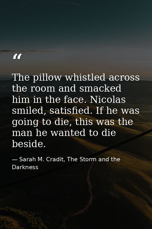 The pillow whistled across the room and smacked him in the face. Nicolas smiled, satisfied. If he was going to die, this — Sarah M. Cradit, The Storm and the Darkness