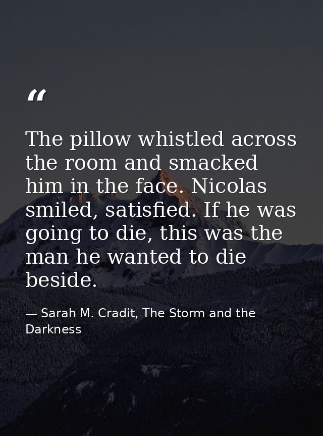 The pillow whistled across the room and smacked him in the face. Nicolas smiled, satisfied. If he was going to die, this — Sarah M. Cradit, The Storm and the Darkness