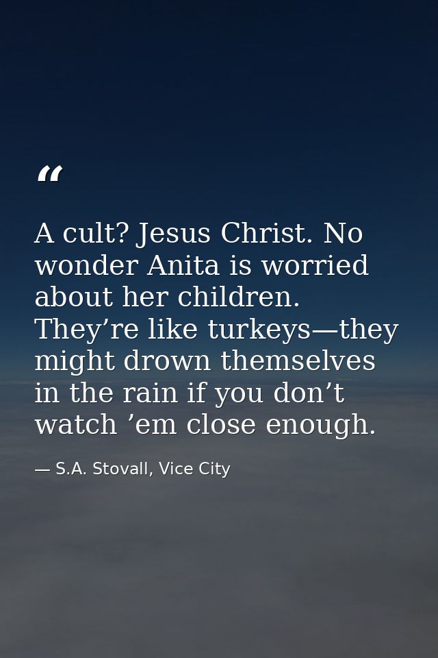 A cult? Jesus Christ. No wonder Anita is worried about her children. They’re like turkeys—they might drown themselves in — S.A. Stovall, Vice City