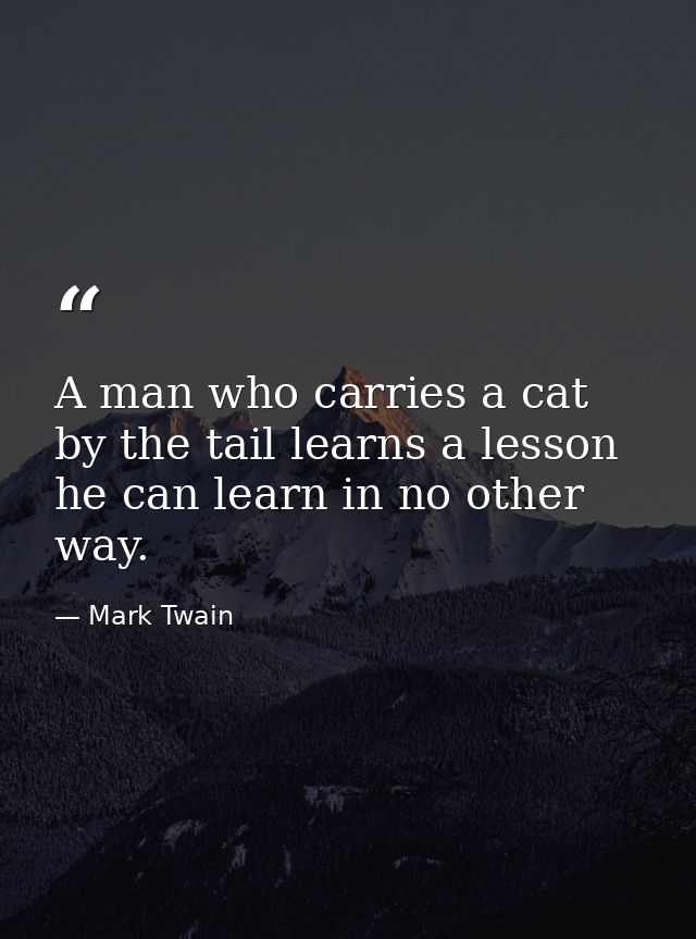 A man who carries a cat by the tail learns a lesson he can learn in no other way. — Mark Twain