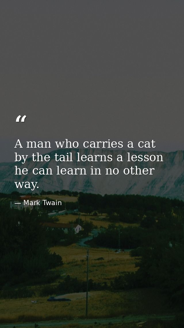 A man who carries a cat by the tail learns a lesson he can learn in no other way. — Mark Twain