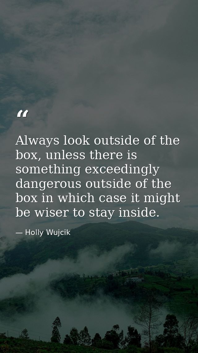 Always look outside of the box, unless there is something exceedingly dangerous outside of the box in which case it migh — Holly Wujcik