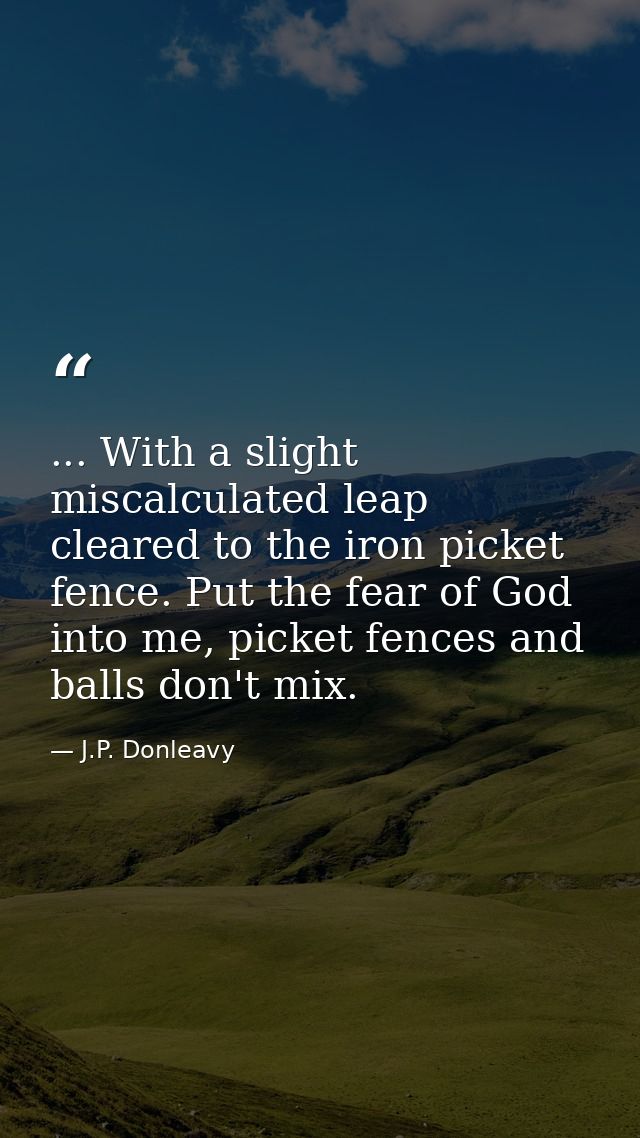 ... With a slight miscalculated leap cleared to the iron picket fence. Put the fear of God into me, picket fences and ba — J.P. Donleavy