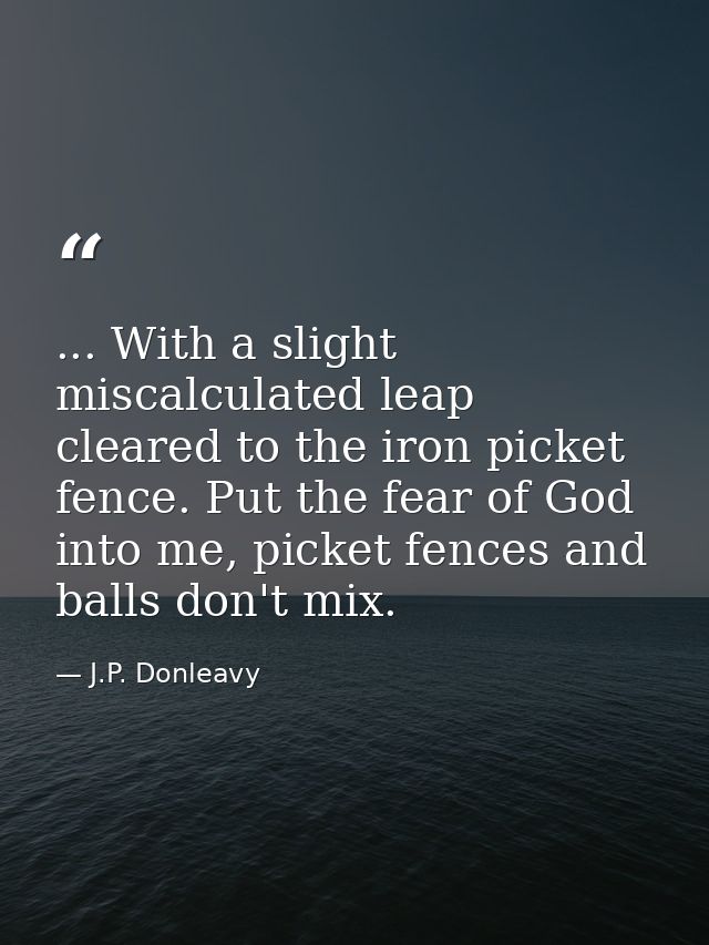 ... With a slight miscalculated leap cleared to the iron picket fence. Put the fear of God into me, picket fences and ba — J.P. Donleavy