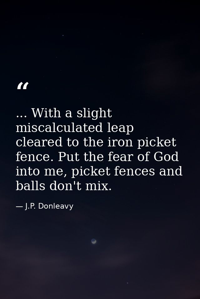 ... With a slight miscalculated leap cleared to the iron picket fence. Put the fear of God into me, picket fences and ba — J.P. Donleavy