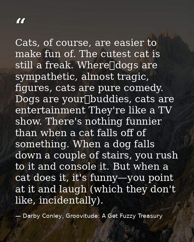 Cats, of course, are easier to make fun of. The cutest cat is still a freak. Where dogs are sympathetic, almost tragic,  — Darby Conley, Groovitude: A Get Fuzzy Treasury