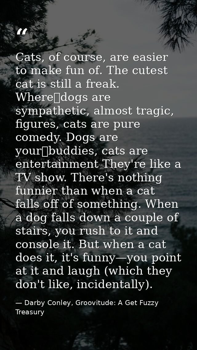 Cats, of course, are easier to make fun of. The cutest cat is still a freak. Where dogs are sympathetic, almost tragic,  — Darby Conley, Groovitude: A Get Fuzzy Treasury