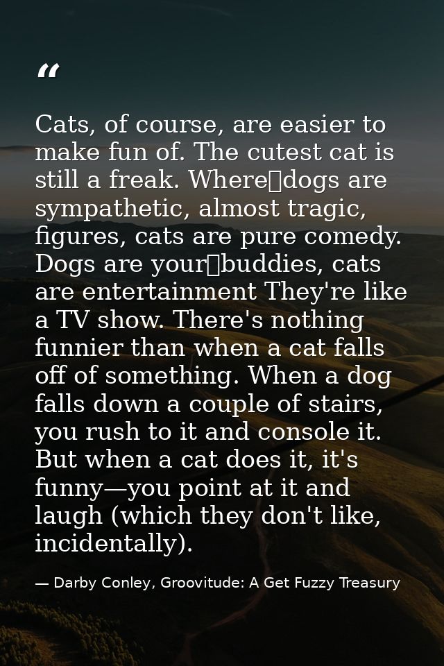 Cats, of course, are easier to make fun of. The cutest cat is still a freak. Where dogs are sympathetic, almost tragic,  — Darby Conley, Groovitude: A Get Fuzzy Treasury
