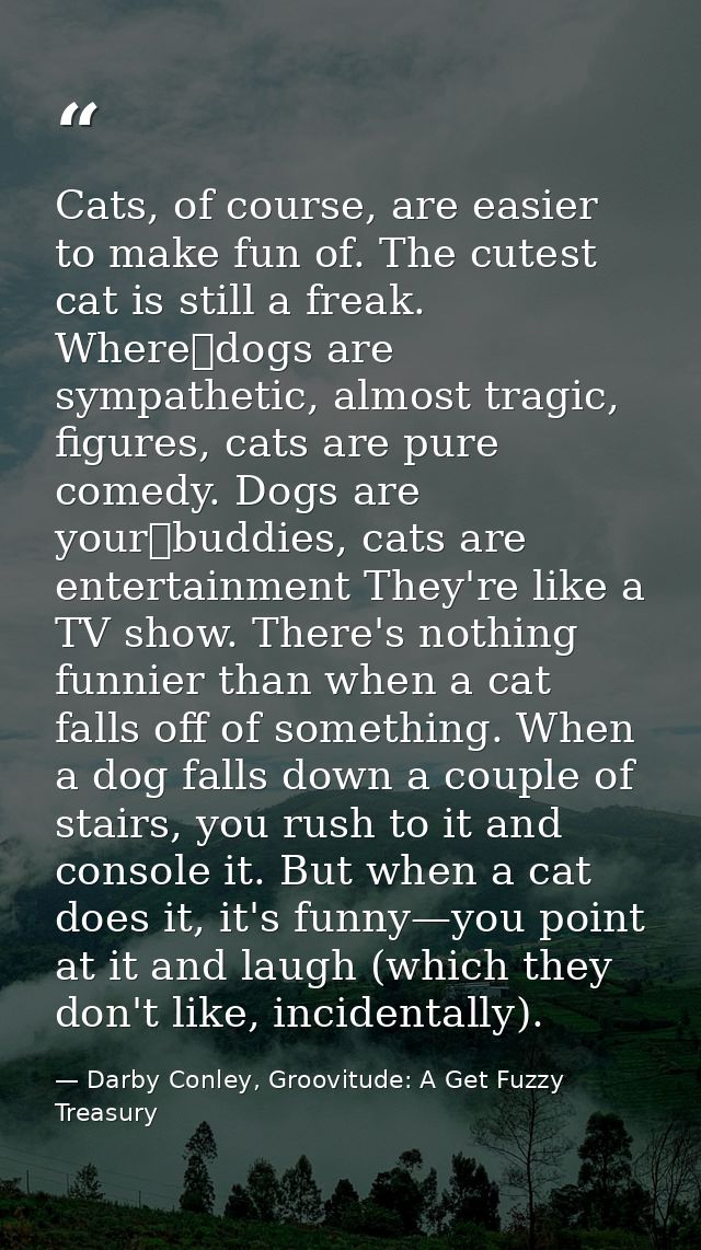 Cats, of course, are easier to make fun of. The cutest cat is still a freak. Where dogs are sympathetic, almost tragic,  — Darby Conley, Groovitude: A Get Fuzzy Treasury