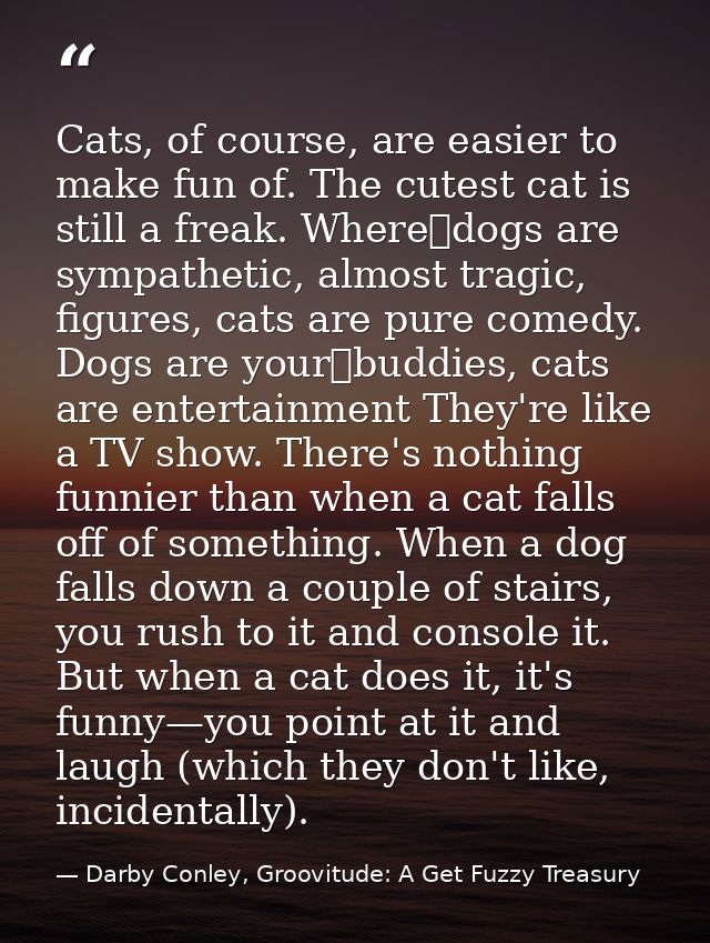 Cats, of course, are easier to make fun of. The cutest cat is still a freak. Where dogs are sympathetic, almost tragic,  — Darby Conley, Groovitude: A Get Fuzzy Treasury