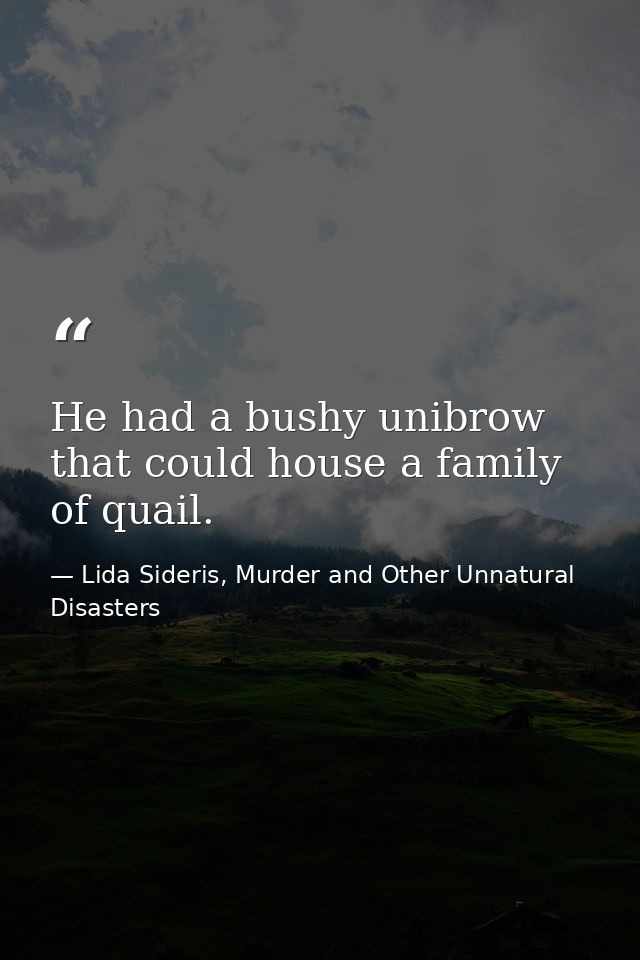 He had a bushy unibrow that could house a family of quail. — Lida Sideris, Murder and Other Unnatural Disasters