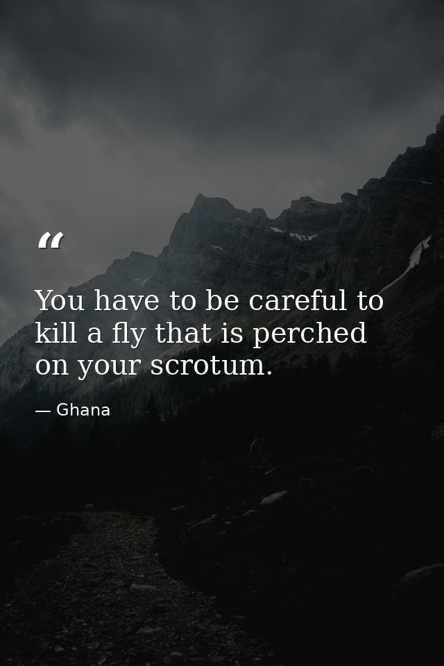 You have to be careful to kill a fly that is perched on your scrotum. — Ghana