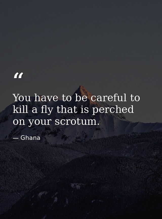 You have to be careful to kill a fly that is perched on your scrotum. — Ghana