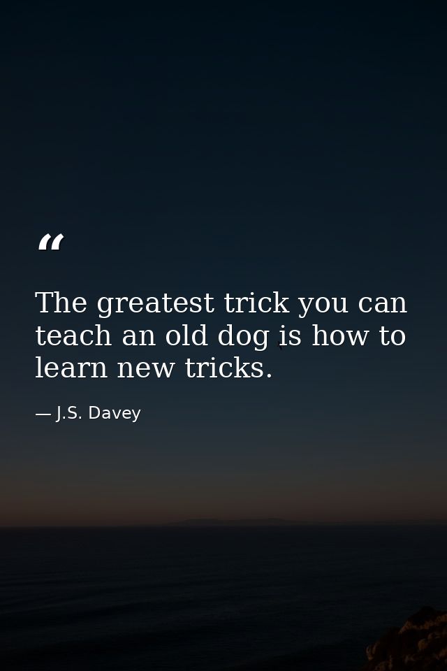 The greatest trick you can teach an old dog is how to learn new tricks. — J.S. Davey