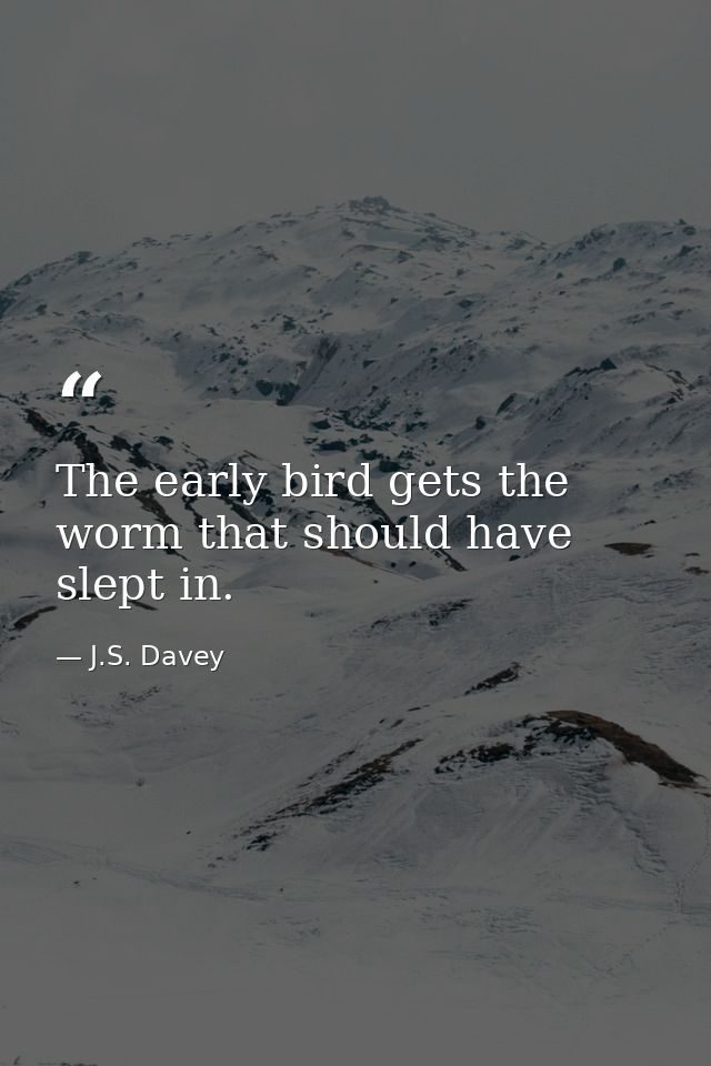 The early bird gets the worm that should have slept in. — J.S. Davey