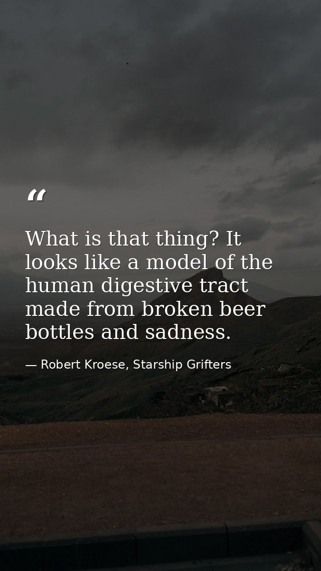 What is that thing? It looks like a model of the human digestive tract made from broken beer bottles and sadness. — Robert Kroese, Starship Grifters