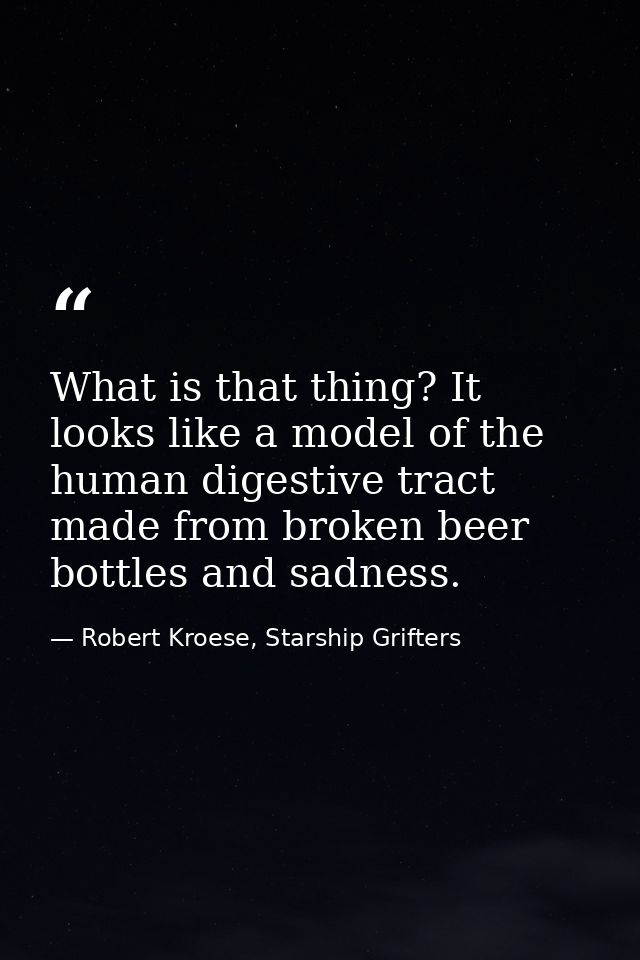 What is that thing? It looks like a model of the human digestive tract made from broken beer bottles and sadness. — Robert Kroese, Starship Grifters