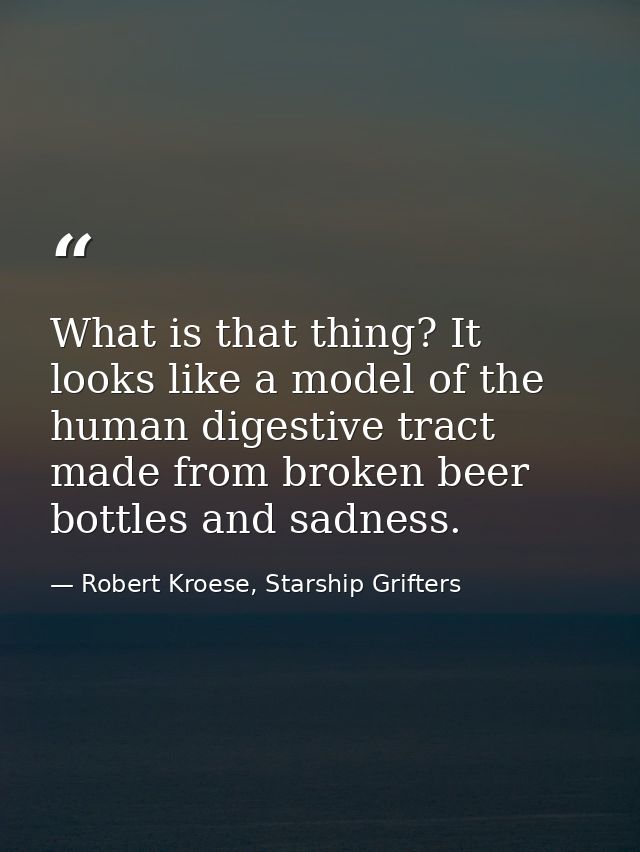 What is that thing? It looks like a model of the human digestive tract made from broken beer bottles and sadness. — Robert Kroese, Starship Grifters
