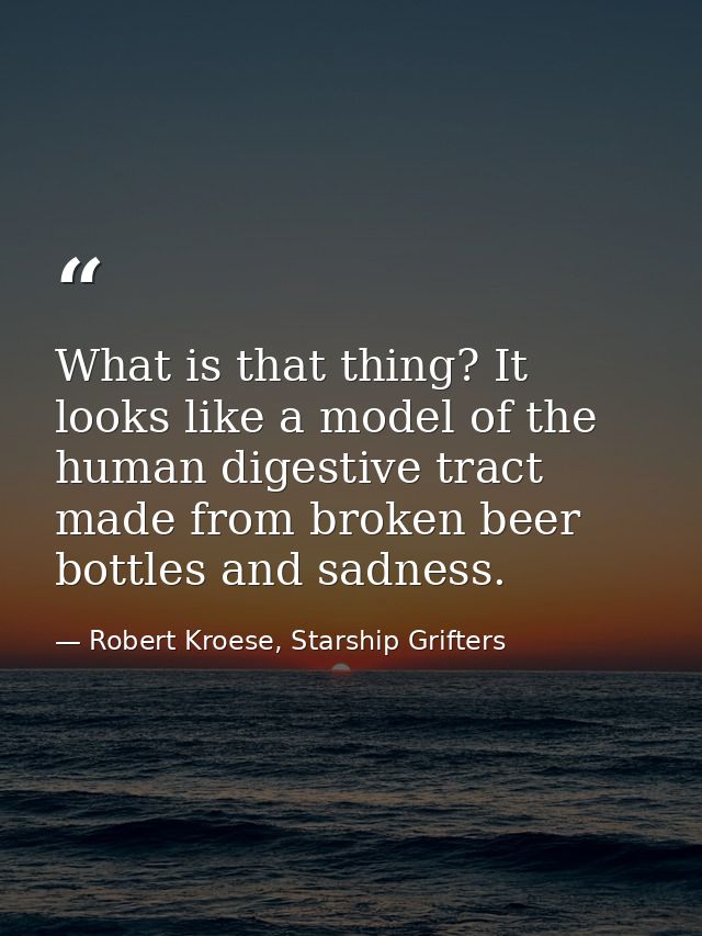 What is that thing? It looks like a model of the human digestive tract made from broken beer bottles and sadness. — Robert Kroese, Starship Grifters