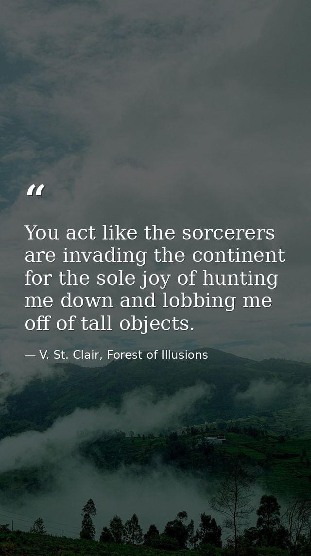 You act like the sorcerers are invading the continent for the sole joy of hunting me down and lobbing me off of tall obj — V. St. Clair, Forest of Illusions