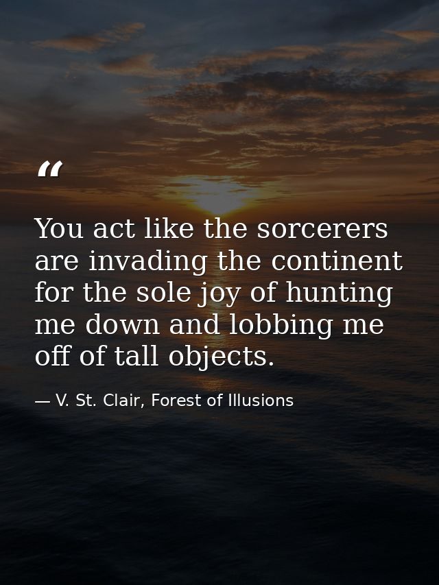 You act like the sorcerers are invading the continent for the sole joy of hunting me down and lobbing me off of tall obj — V. St. Clair, Forest of Illusions