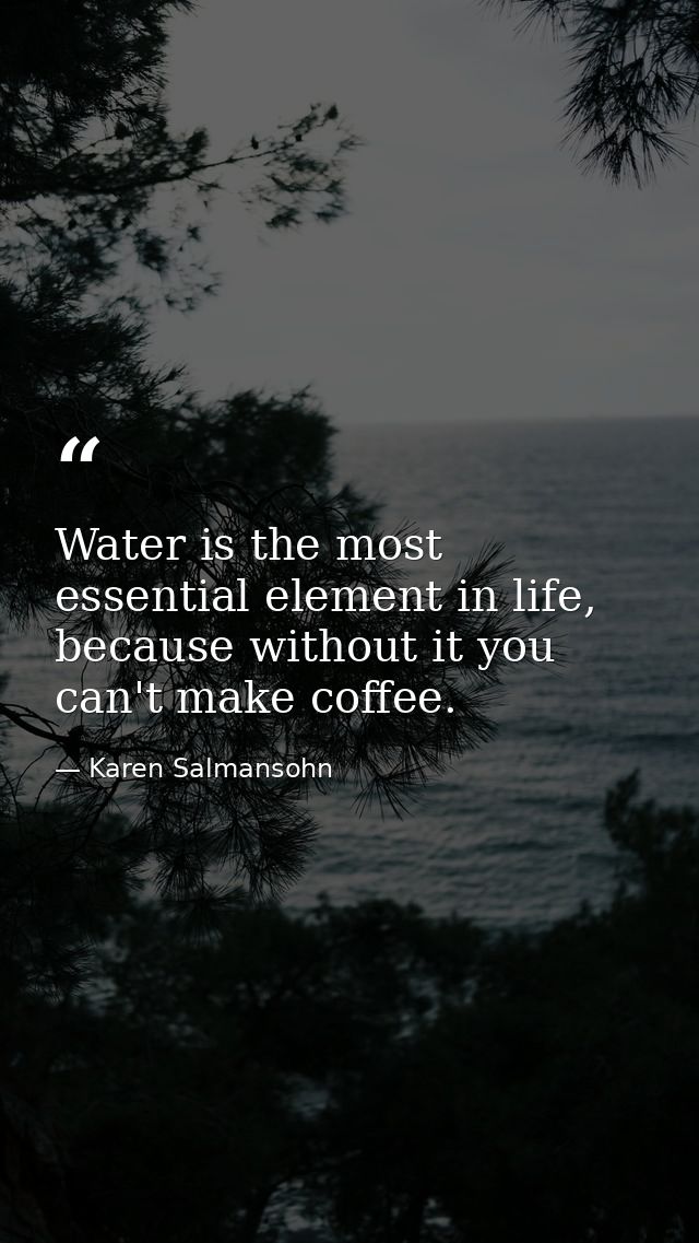 Water is the most essential element in life, because without it you can't make coffee. — Karen Salmansohn