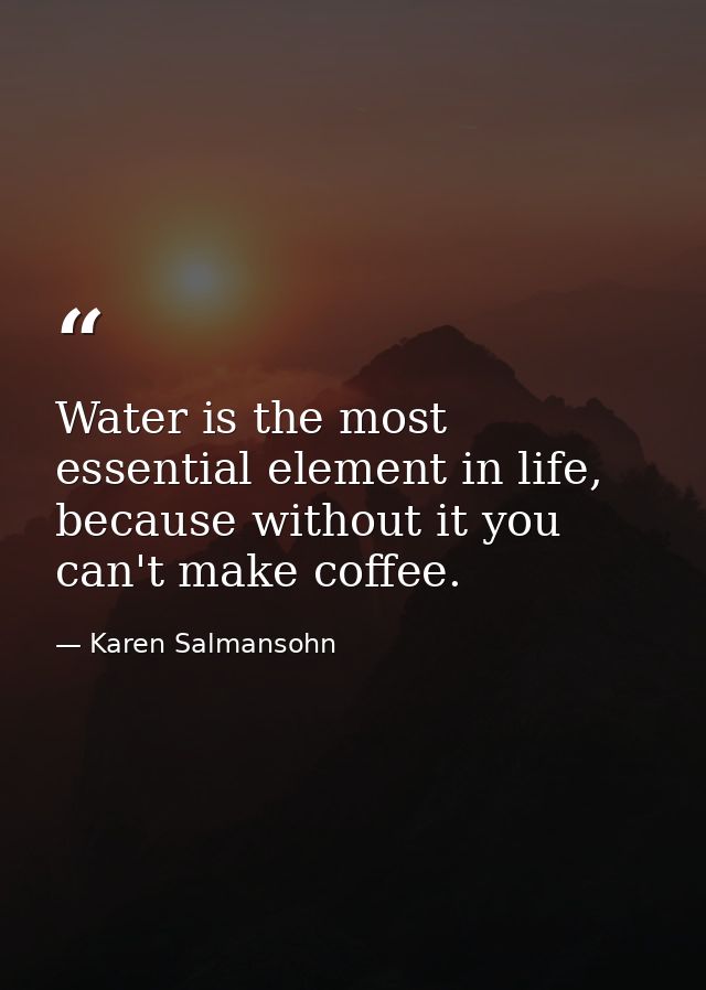 Water is the most essential element in life, because without it you can't make coffee. — Karen Salmansohn