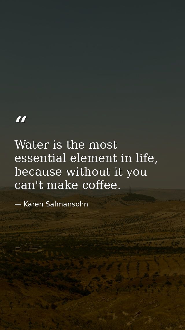 Water is the most essential element in life, because without it you can't make coffee. — Karen Salmansohn