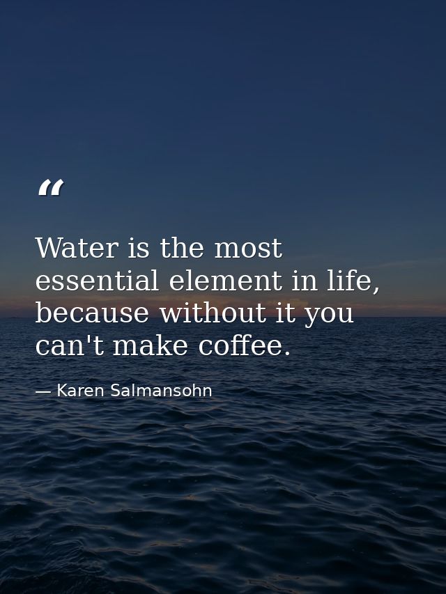 Water is the most essential element in life, because without it you can't make coffee. — Karen Salmansohn