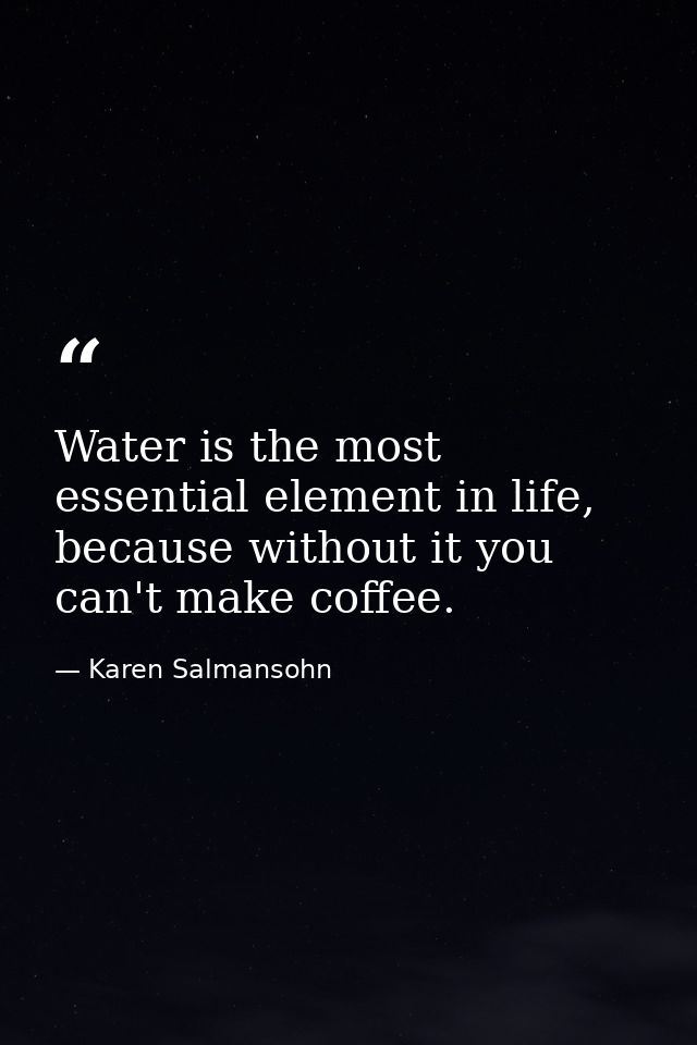 Water is the most essential element in life, because without it you can't make coffee. — Karen Salmansohn
